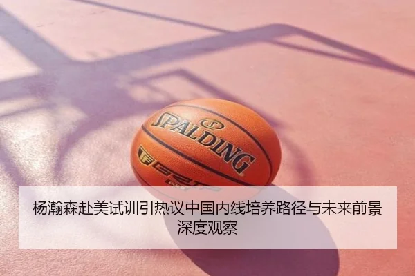 杨瀚森赴美试训引热议中国内线培养路径与未来前景深度观察